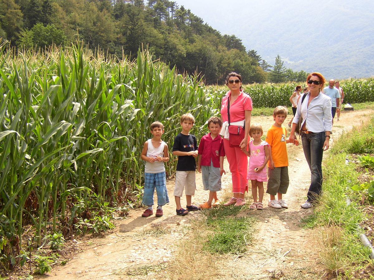 Ca' Dei Boieti Casa Vacanze Ronzo-Chienis Екстериор снимка